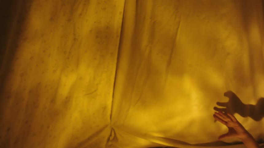Two boys use their hands to make shadows on the inside of a tent