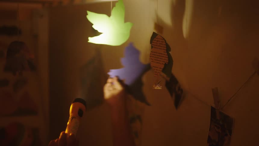 Childs hand holding a flashlight and illuminating pictures on the wall