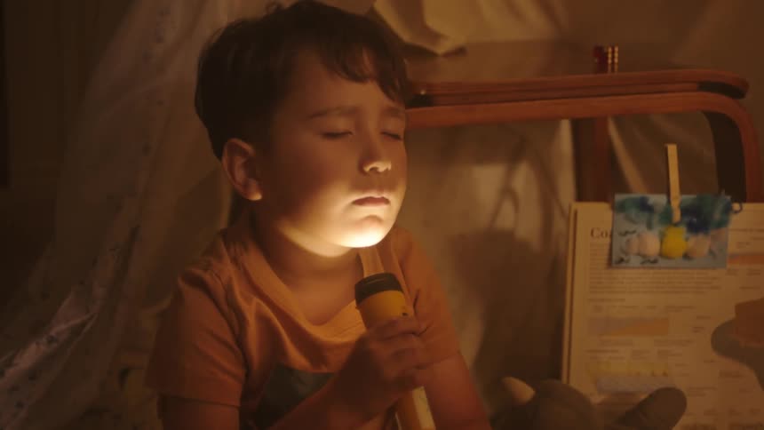 Two little boys playing with a finger holding a flashlight to their face