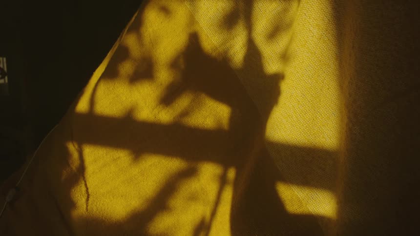 Shadow of a hand making a sign of a dove