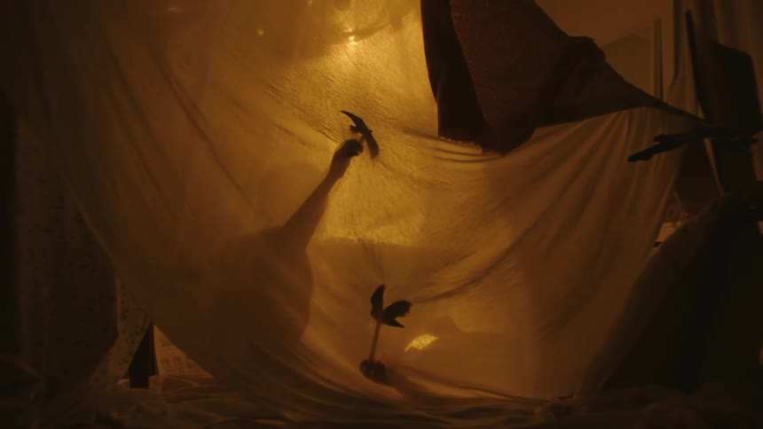 A clip of a kid playing behind the net