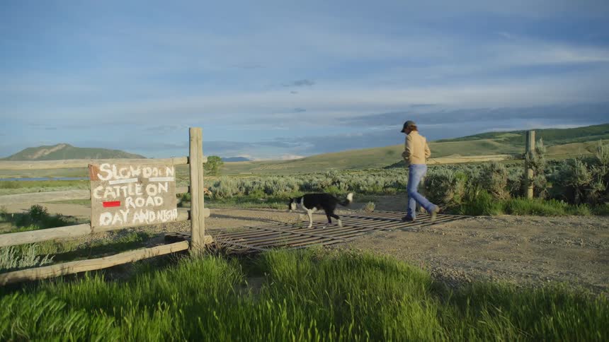 A farmer walks down a dirt road with his dogs and through an open gate