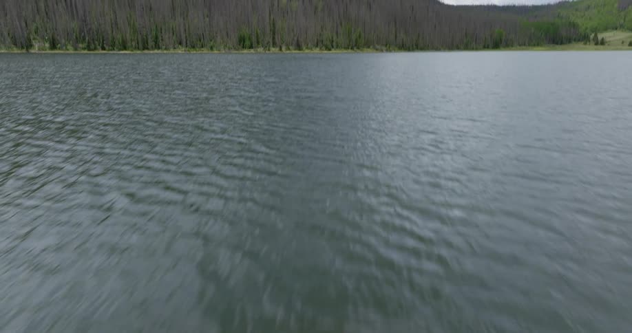 A large lake is by the mountain covered with trees