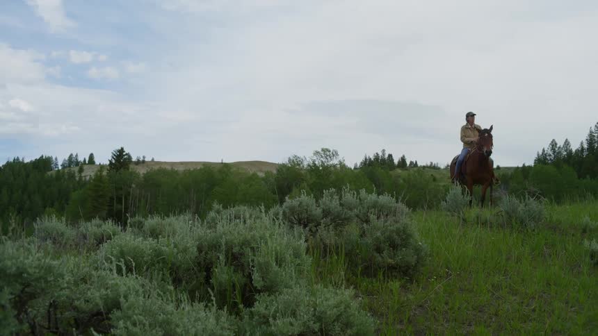 A man sits on a horse in nature and takes in his surroundings