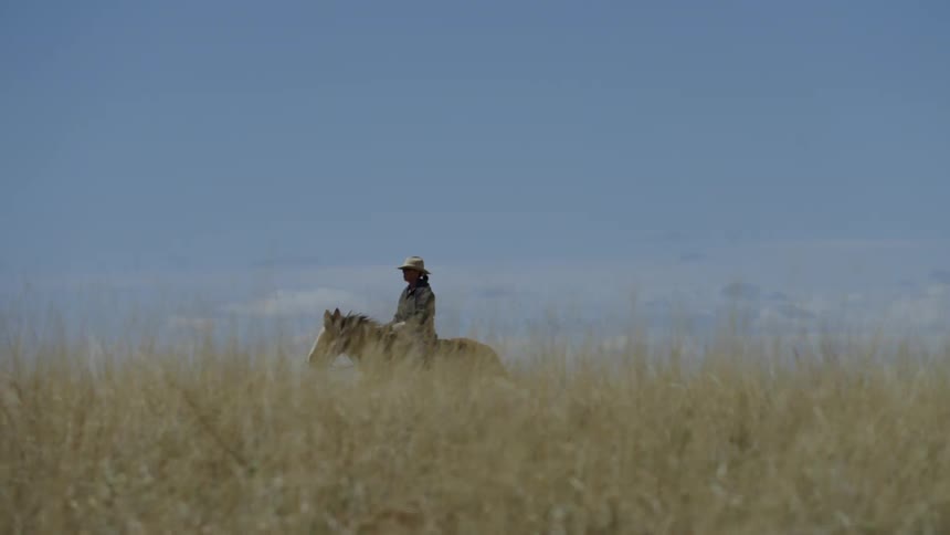 A man in a cowboy hat rides a horse in the grassy field