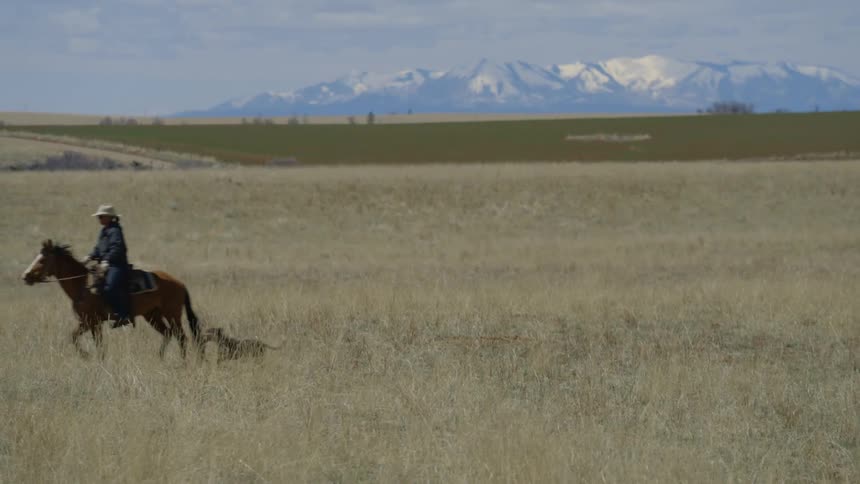 A woman rides a horse on a prairie followed closely by a dog