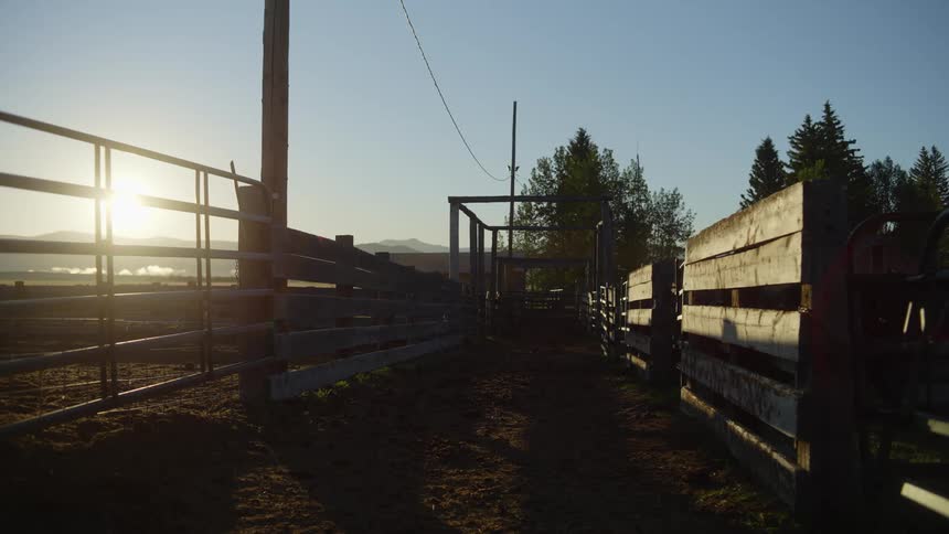A wood and metal passageway into a corral