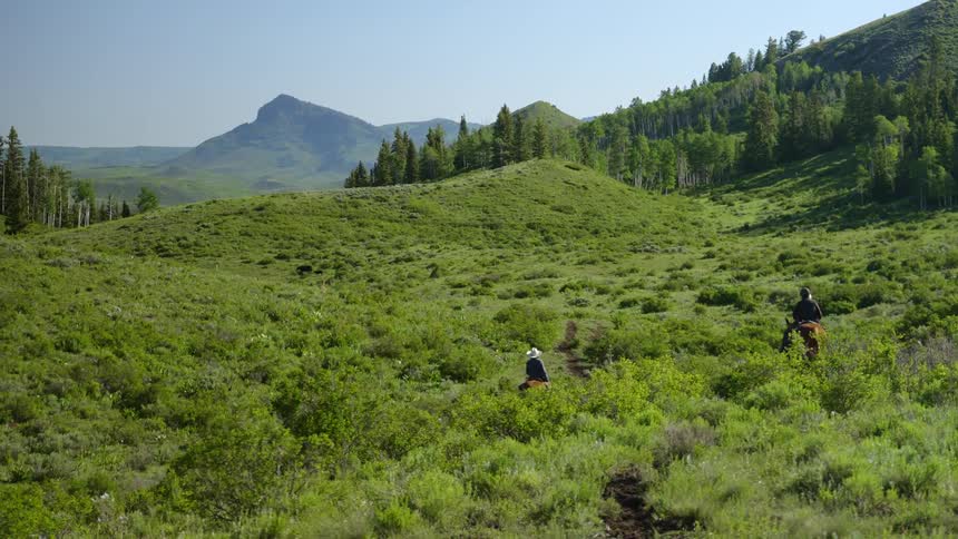 Two ranchers ride horses across a grassy area as a dog runs in the distance