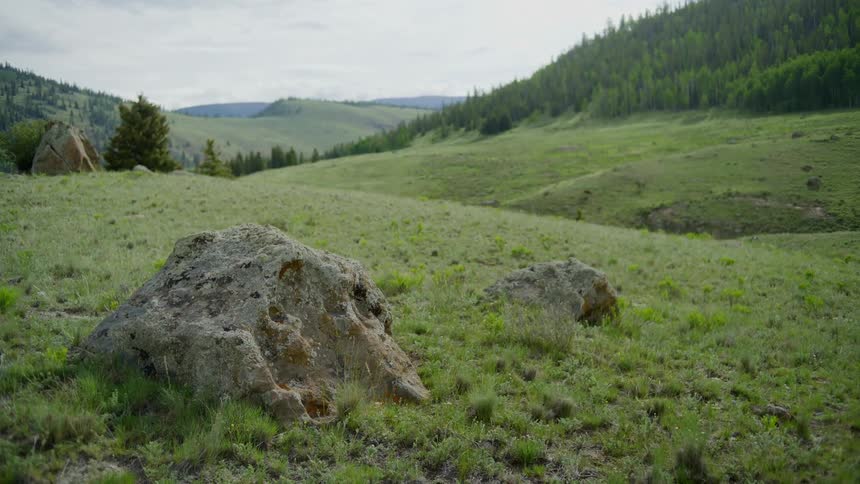 Craggy boulders stand in a field near a forested mountain slope