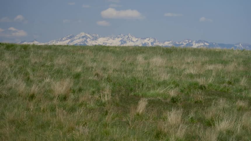 A vast grassland with a range of snowcapped mountains in the distance under a blue sky with scattered clouds
