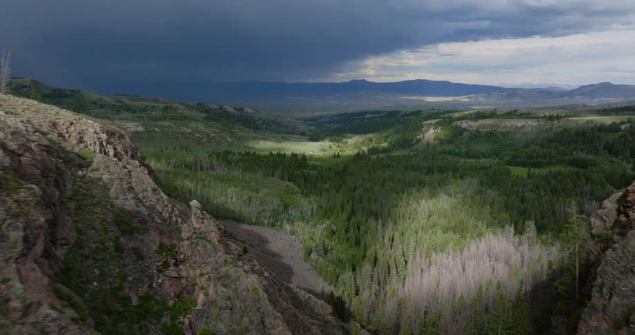 An aerial clip of a wide forest