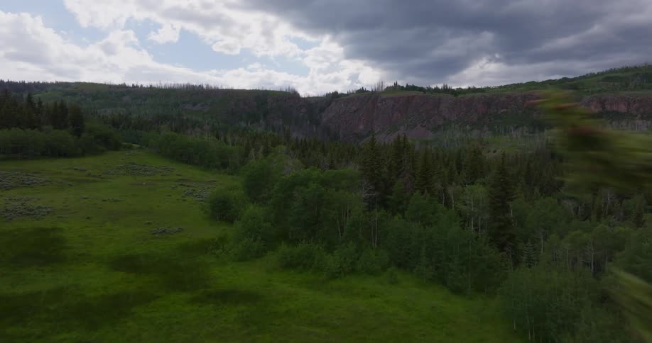 Aerial panorama of a forest in the mountains