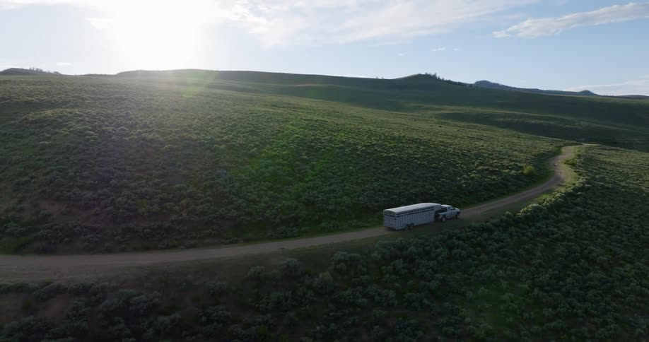 A truck pulling an animal trailer drives around a curve on a road