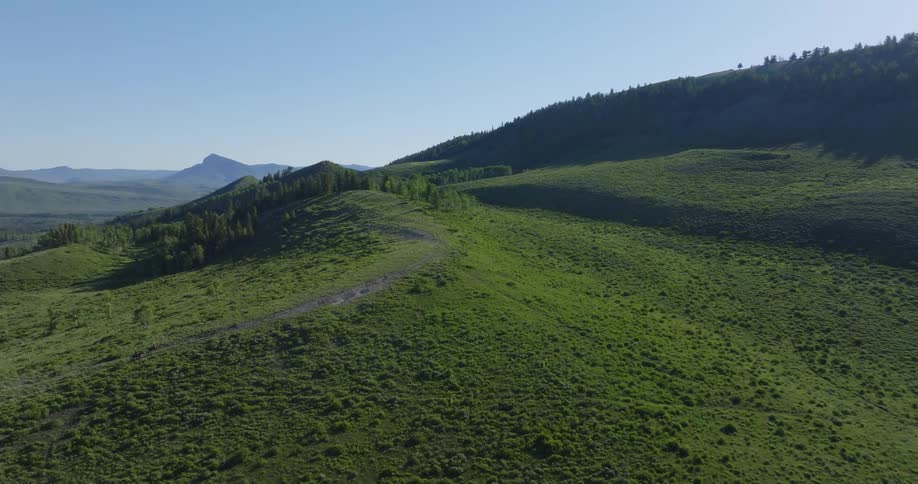 Gentle hills dotted with forests with mountains here and there
