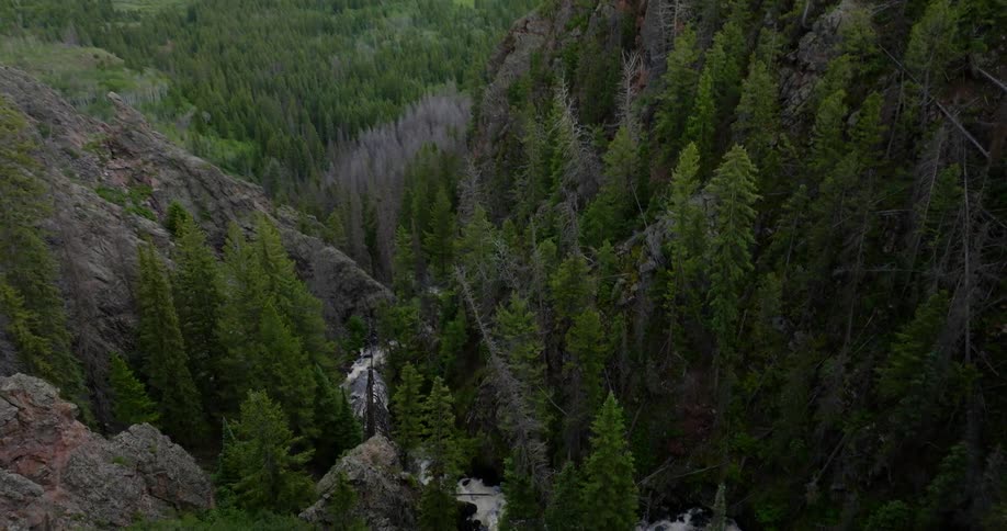 A revealing clip of nature