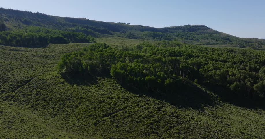 Aerial landscape of a wooded mountain valley