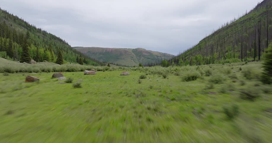 Aerial of a lush grassy valley