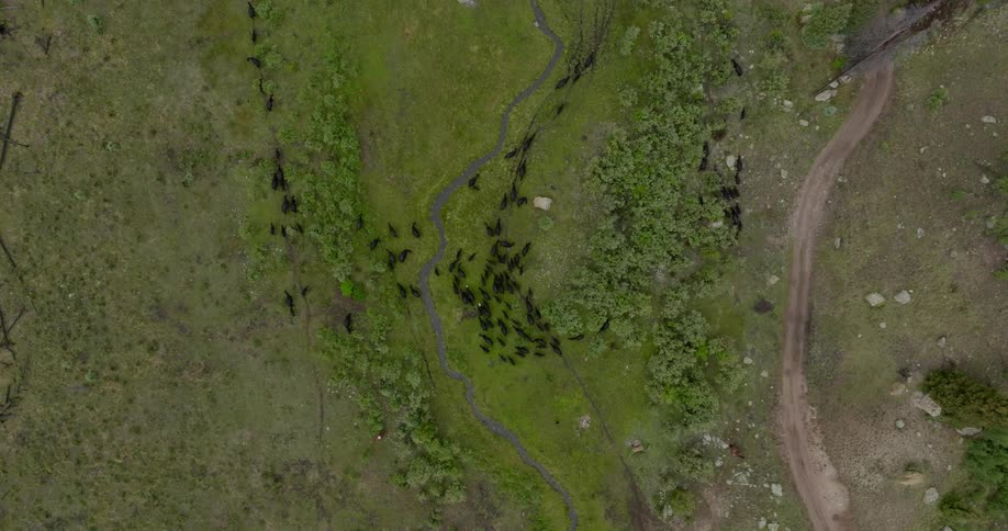 An aerial clip of an open grassland