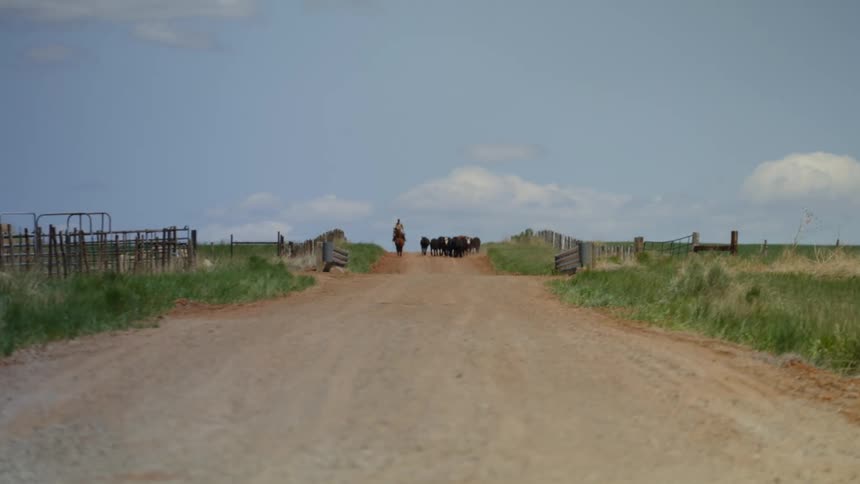 Dirt road on a farm with a person riding a horse and guiding animals in the background