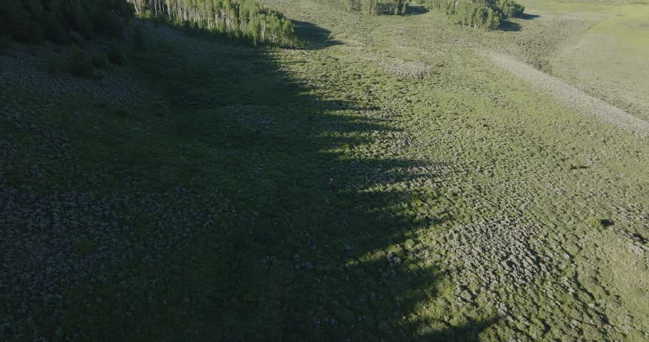 Aerial panorama of a plateau and mountains surrounded by vegetation