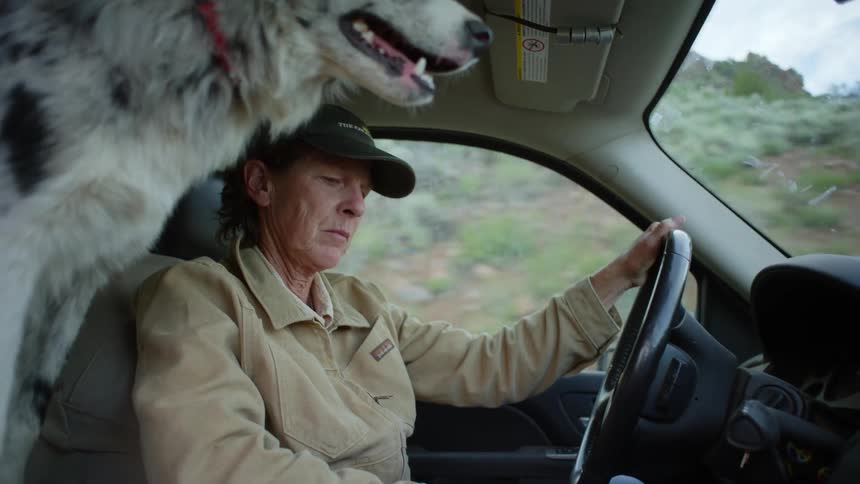 Woman driving a car with a dog next to her