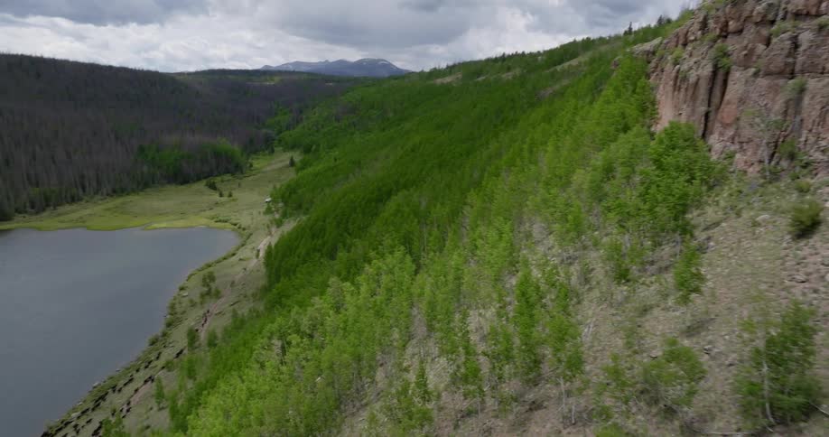 Aerial panorama of a lake surrounded by forest and mountains