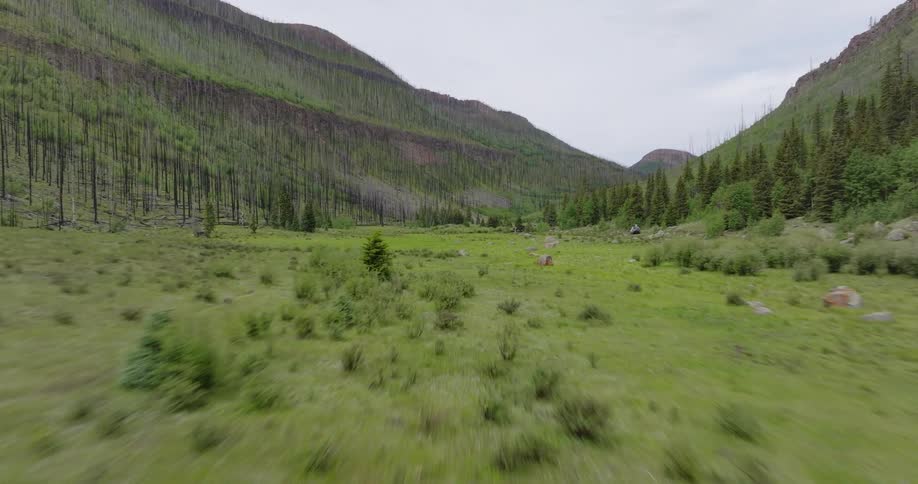 A large field of grass and in the background there are hills with some trees