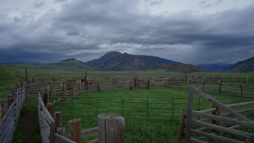 Horses graze in a field near the mountains on an overcast day