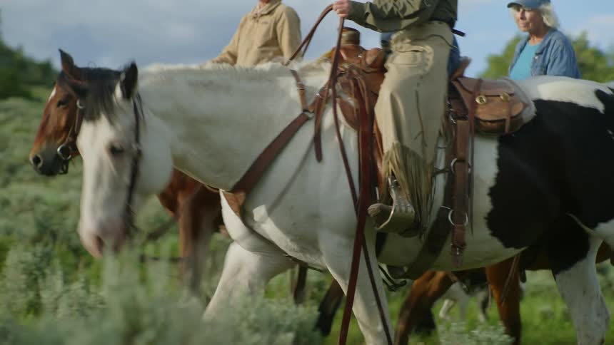 Closeup of a group of women riding a horses in the countryside