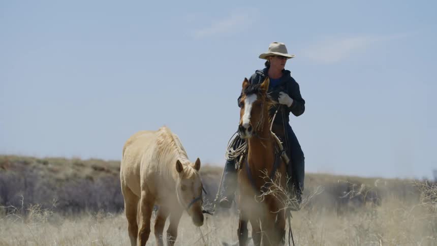 Woman riding a horse with a rope holding another horse and a dog next to her in a natural setting in undergrowth