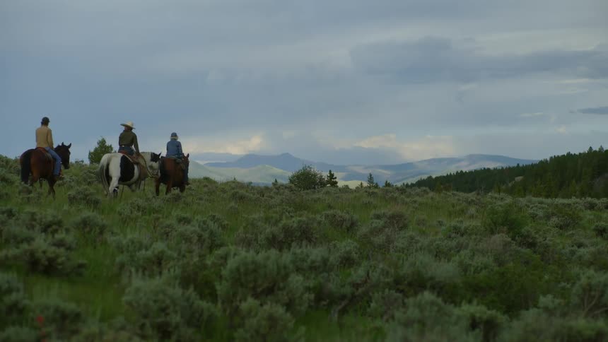 Three cowboys with dogs cross a grassy plain on horses