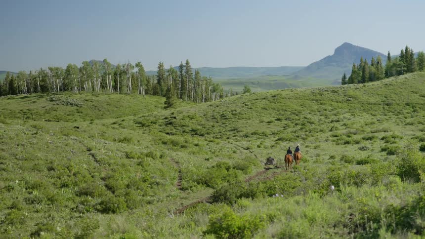Two people ride horses through a vast green landscape