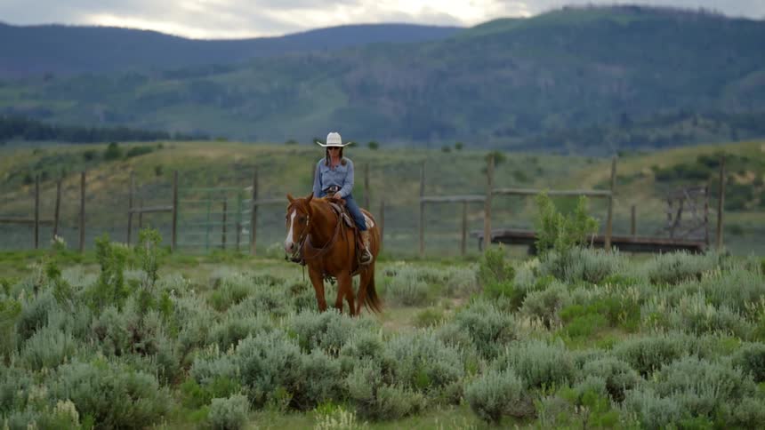 A woman riding a horse on a grass plain surrounded by a fence and a dog comes running toward her