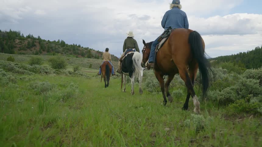 Three people on horseback crossing a grassy field in single file