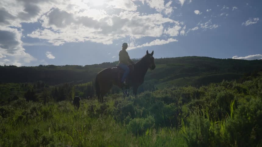 A person riding a horse in a natural landscape with hills and trees under a partly cloudy sky