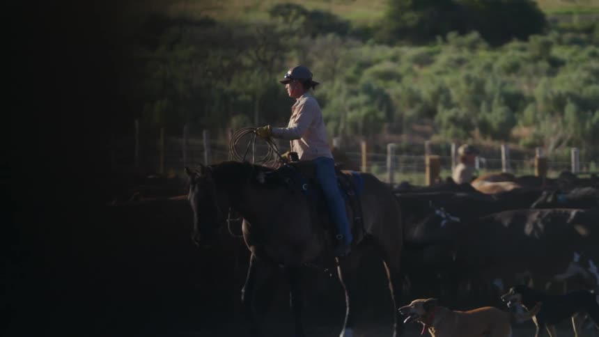 Two cowboys rides horses around a herd of cattle in an enclosure