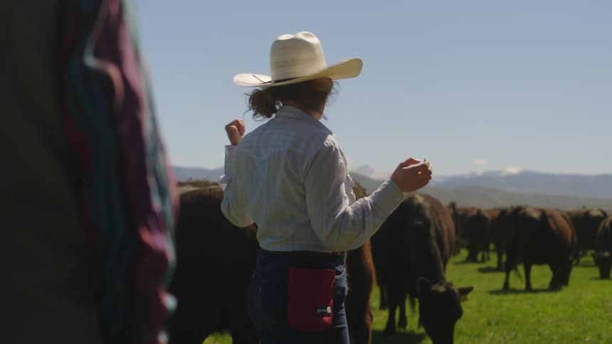 A woman stands outside near cattle grazing while talking to others