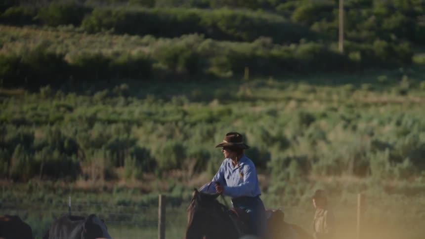 Woman riding a horse on a farm with other animals