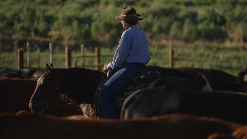 A woman wearing a cowboy hat and longsleeved shirt riding a horse surrounded by a herd of cattle during late afternoon