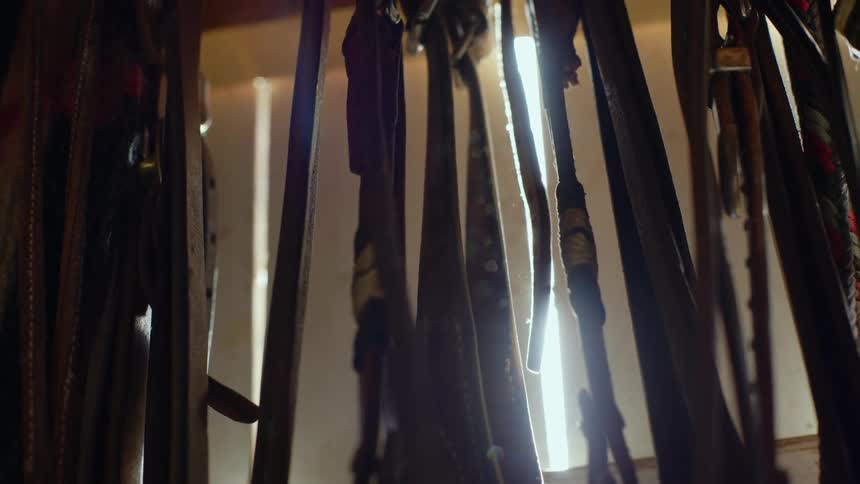 Horse leather belts inside a shed with sunlight reflecting off it