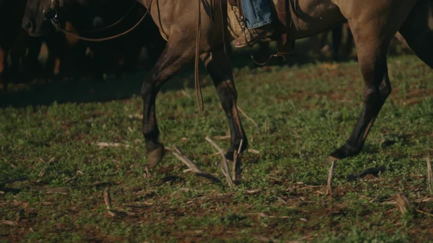 Woman riding a horse in a pasture
