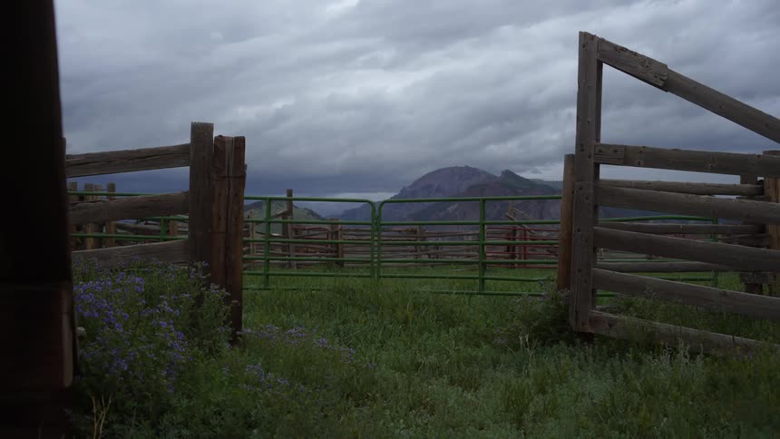 A dog running out of an empty corral