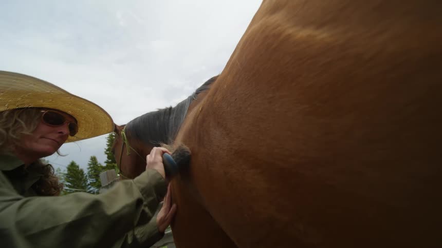 Woman in hat and sunglasses cleaning horses fur