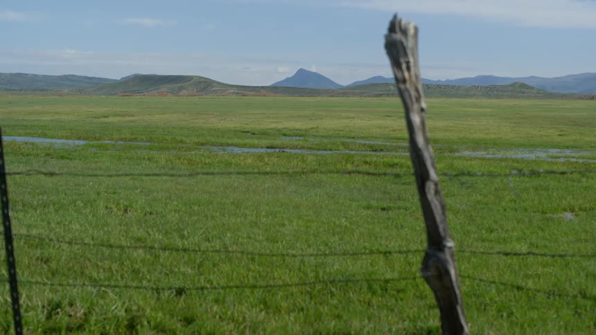 A grassy plain with water on it sits past a barbed wire fence in a rural area