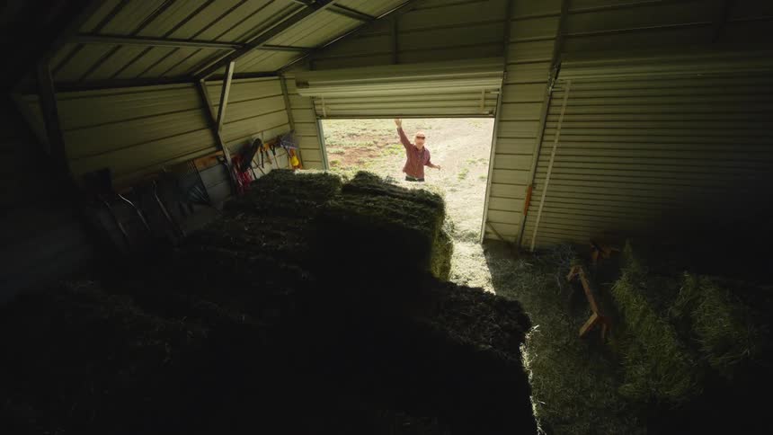 Person opening a barn door in a shed and taking grass for food