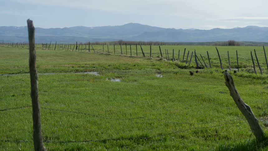 Green field in a fenced pasture and mountains in the background