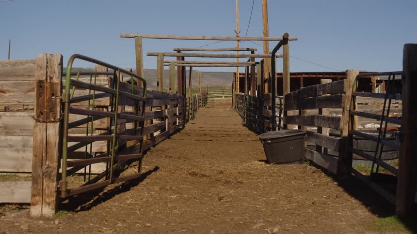 A wood and metal passageway into a corral