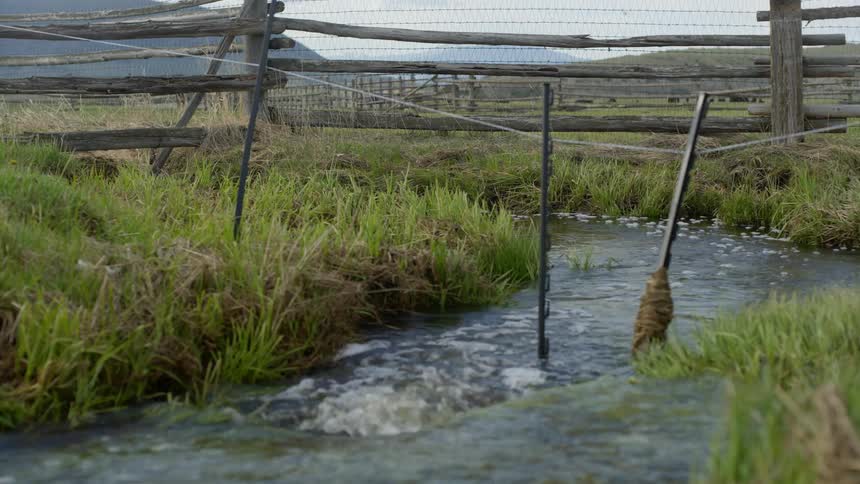 A stream foams as it passes over a small rapid on a ranch