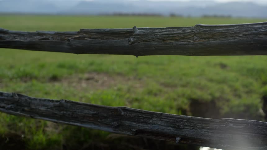 Two fence posts in a green grass field