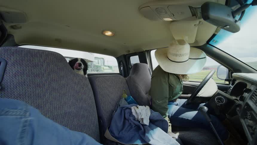 Vehicle interior showing a driver in a cowboy hat and a dog entering on the drivers side of the car